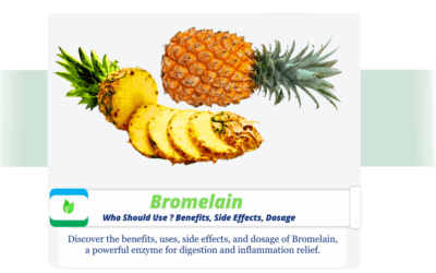 Bromelain: Who Should Use ? Benefits, Side Effects, Dosage Powdered bromelain with fresh pineapple slices symbolizing natural biotin benefits