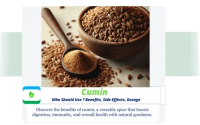 Cumin : Who Should Use ? Benefits, Dosage & Precautions Rustic bowl with cumin seeds and powder