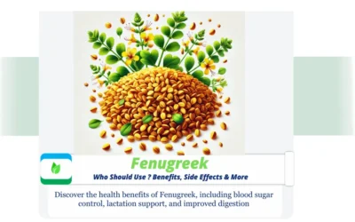Fenugreek : Who Need? Benefits, Side Effects & More It features golden-brown Fenugreek seeds and sprigs of Fenugreek plant leaves