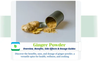 Ginger Powder: An In-Depth Guide to Its Benefits, Usage, and Precautions Elegant Ginger Powder