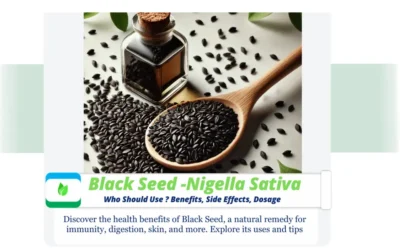 Nigella Sativa : Who Should Use ? Benefits, Dosage, and More Nigella Sativa seeds and oil with green leaves